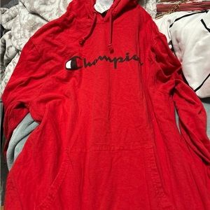 champion hoodie size largemen